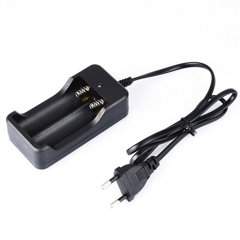 Chargeur de batterie