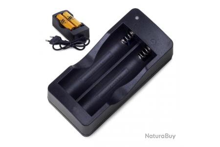 Chargeur de batterie